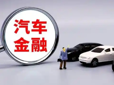 经区押车贷款不是本人可以么?